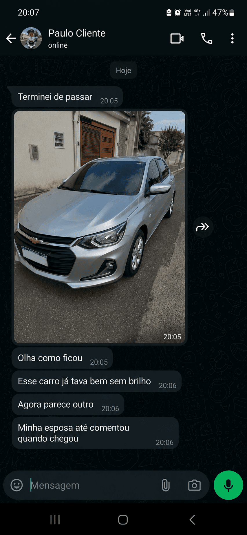 PINT RENOVACAR (1)