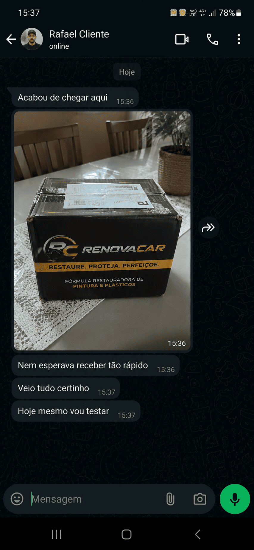 PINT RENOVACAR (10)