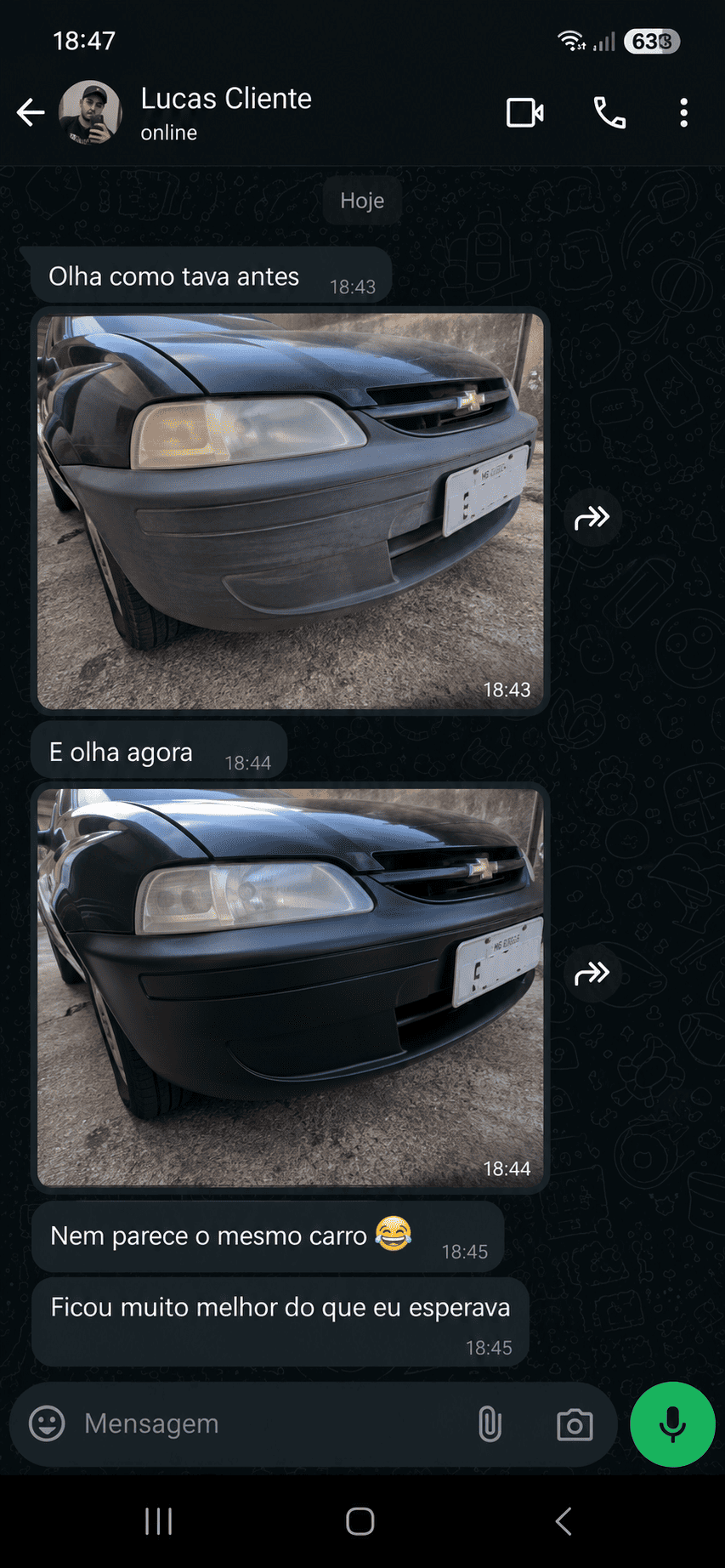 PINT RENOVACAR (3)
