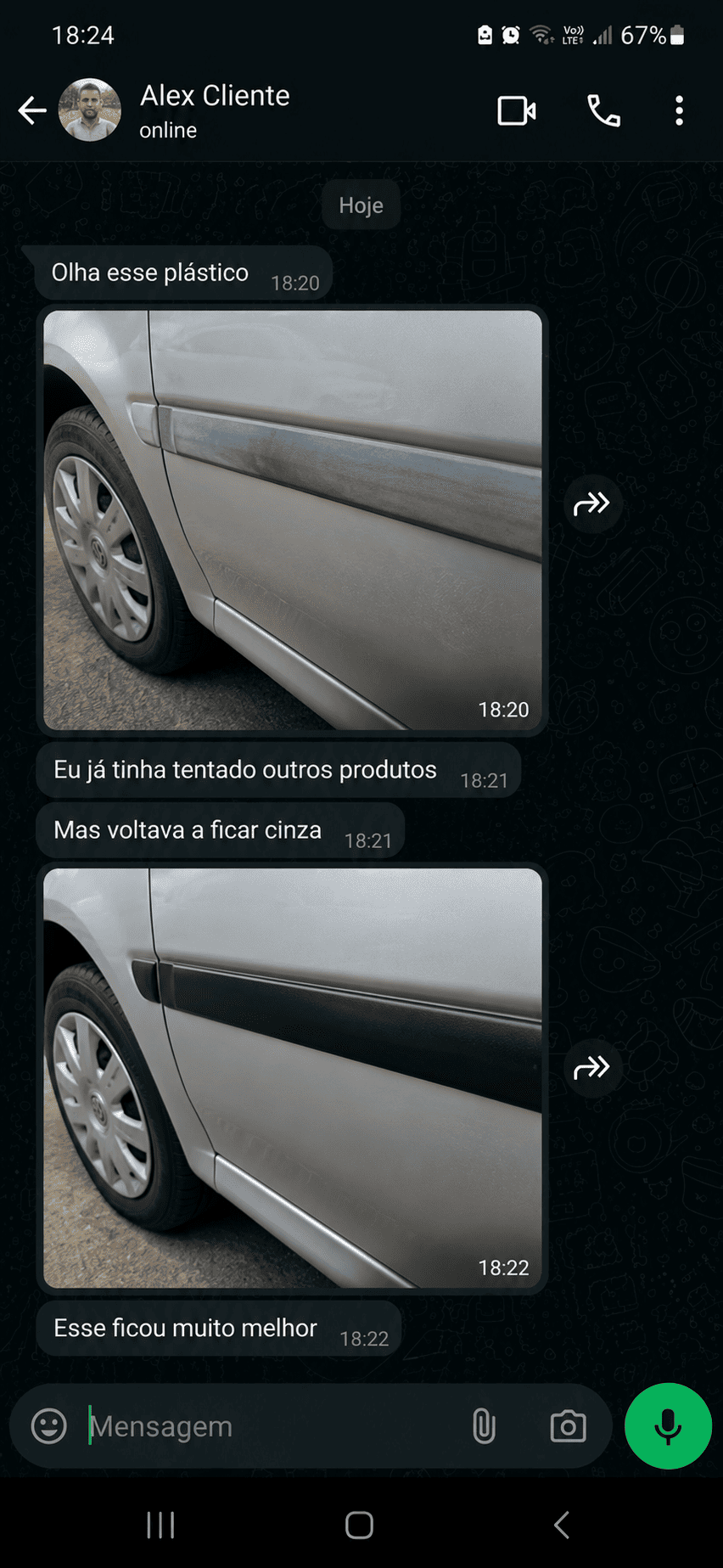 PINT RENOVACAR (4)