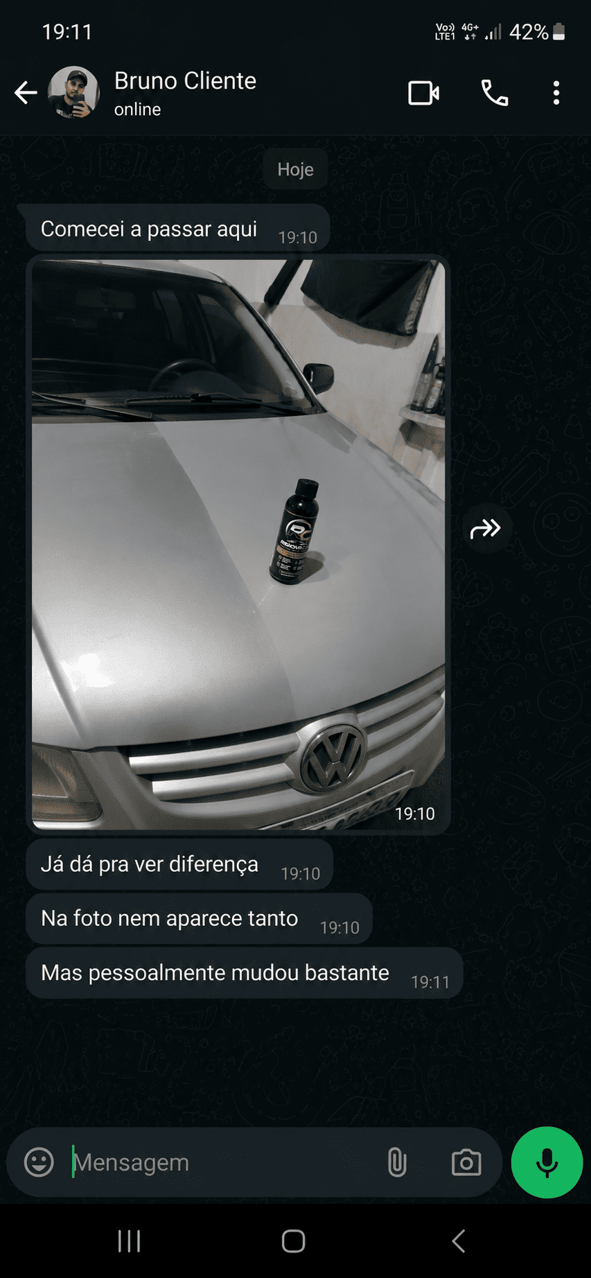 PINT RENOVACAR (5)